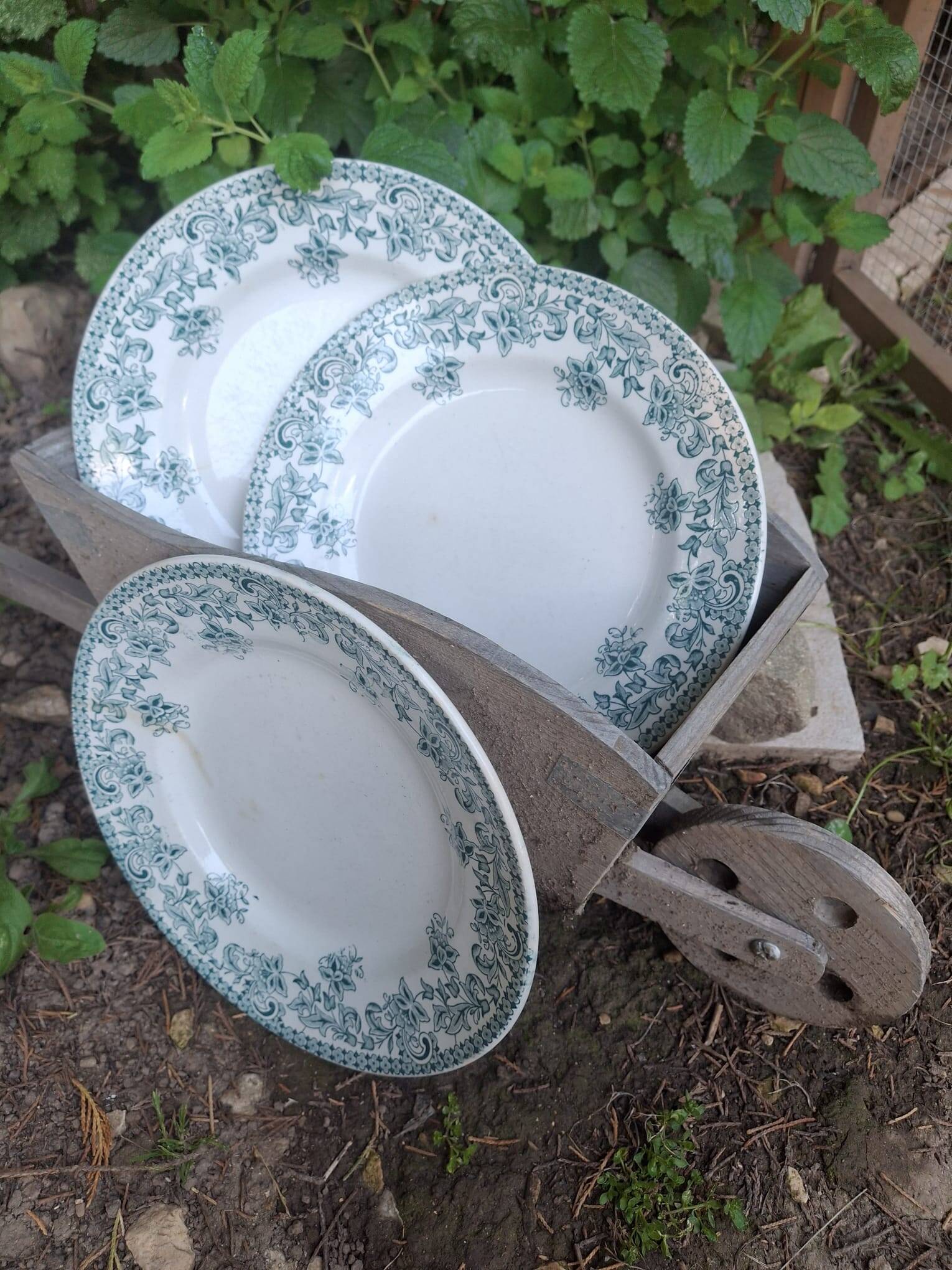 Set of 4 antique ironstone plates from Saint-Amand, "Jane" model.