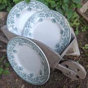 Set of 4 antique ironstone plates from Saint-Amand, "Jane" model.
