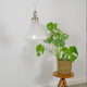 Vintage glass pendant lamp with chrome details