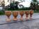 5 wooden egg cups from the 50s/60s.