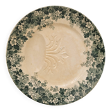 Récamier asparagus plate