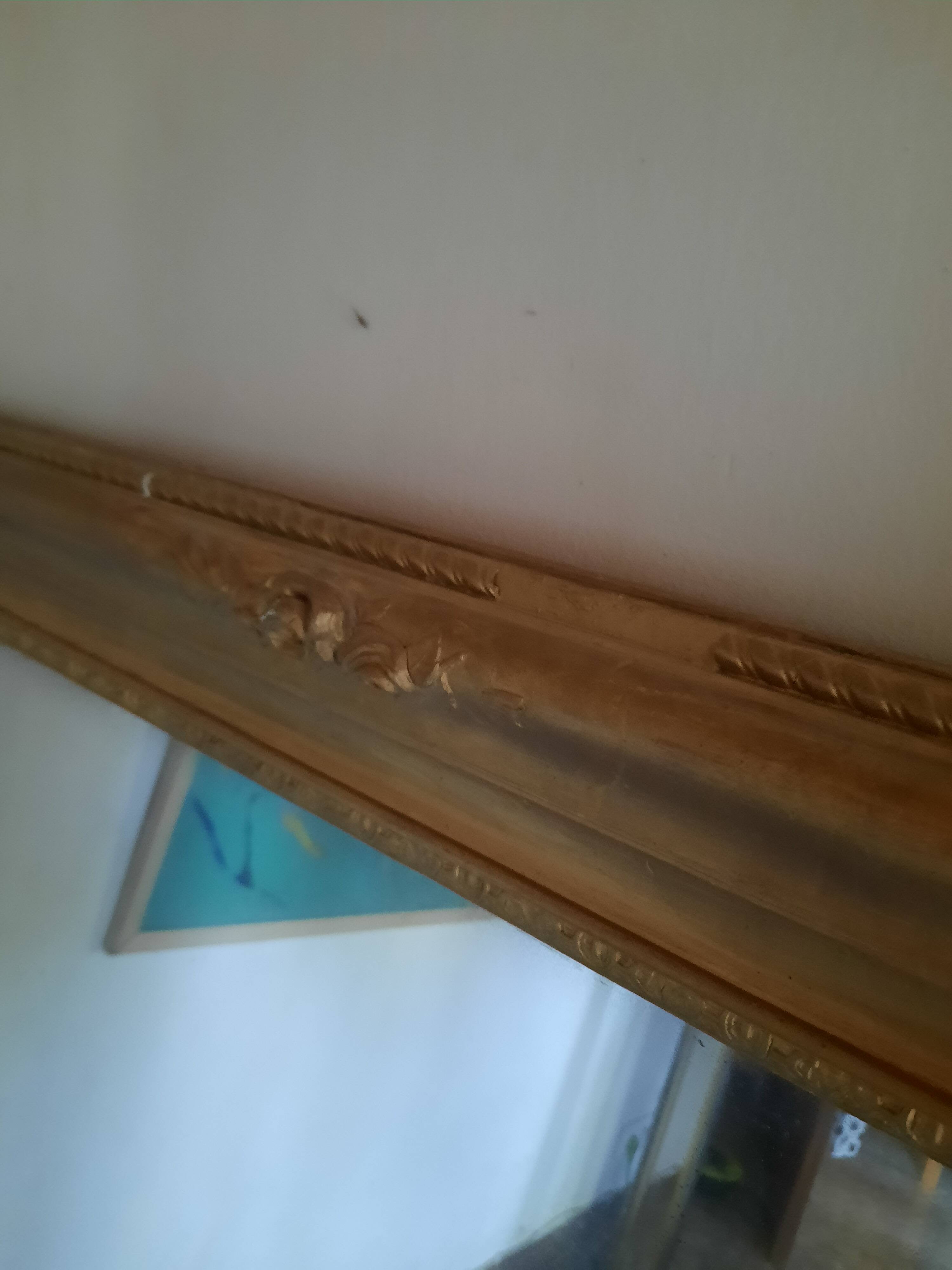Very large gold mirror
