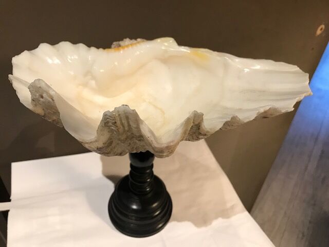 Clam mounted in vacuum pocket