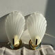 Pair of shell sconces