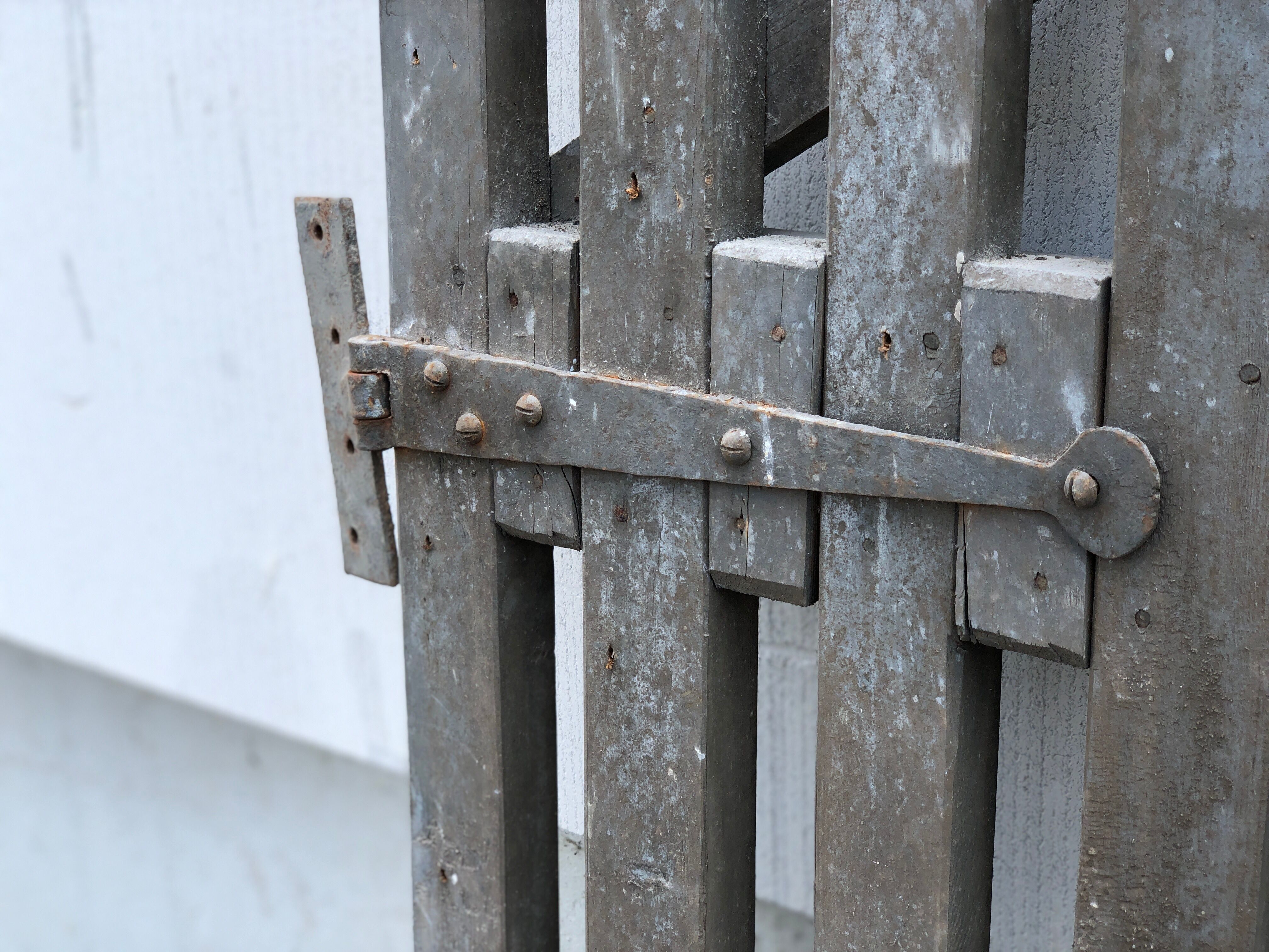 Pair of wooden doors