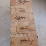 Vallauris herbarium coffee table by Roger Capron