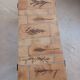 Vallauris herbarium coffee table by Roger Capron