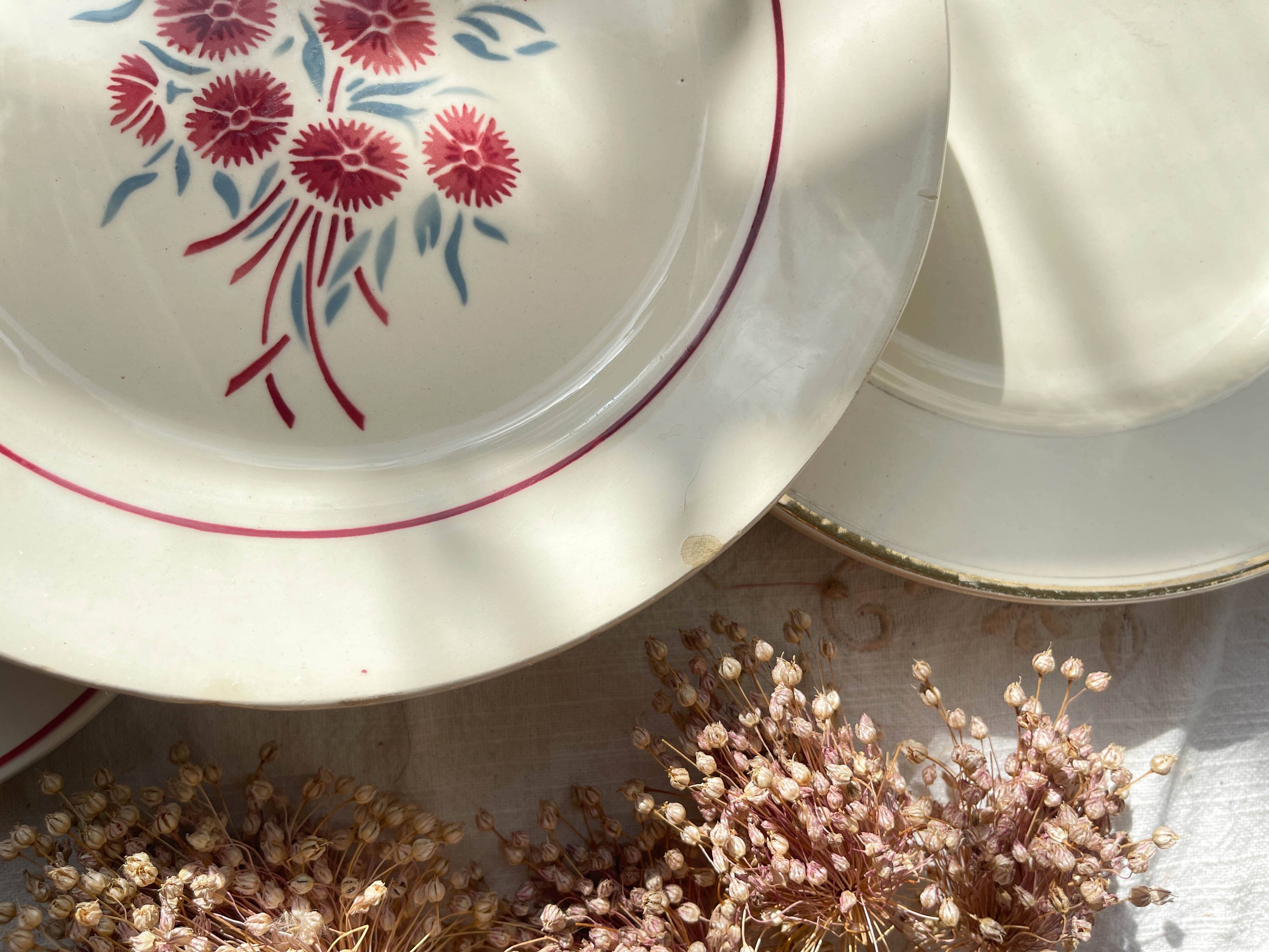 6 Mismatched Vintage Plates with Floral Pattern