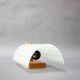 Mid-Century Wall Light, Germany, 1970s