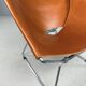 Pierre Paulin AP-14 cognac leather armchair for A. Polak, 1955