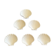 Lot de 6 coupelles coquillages en céramique
