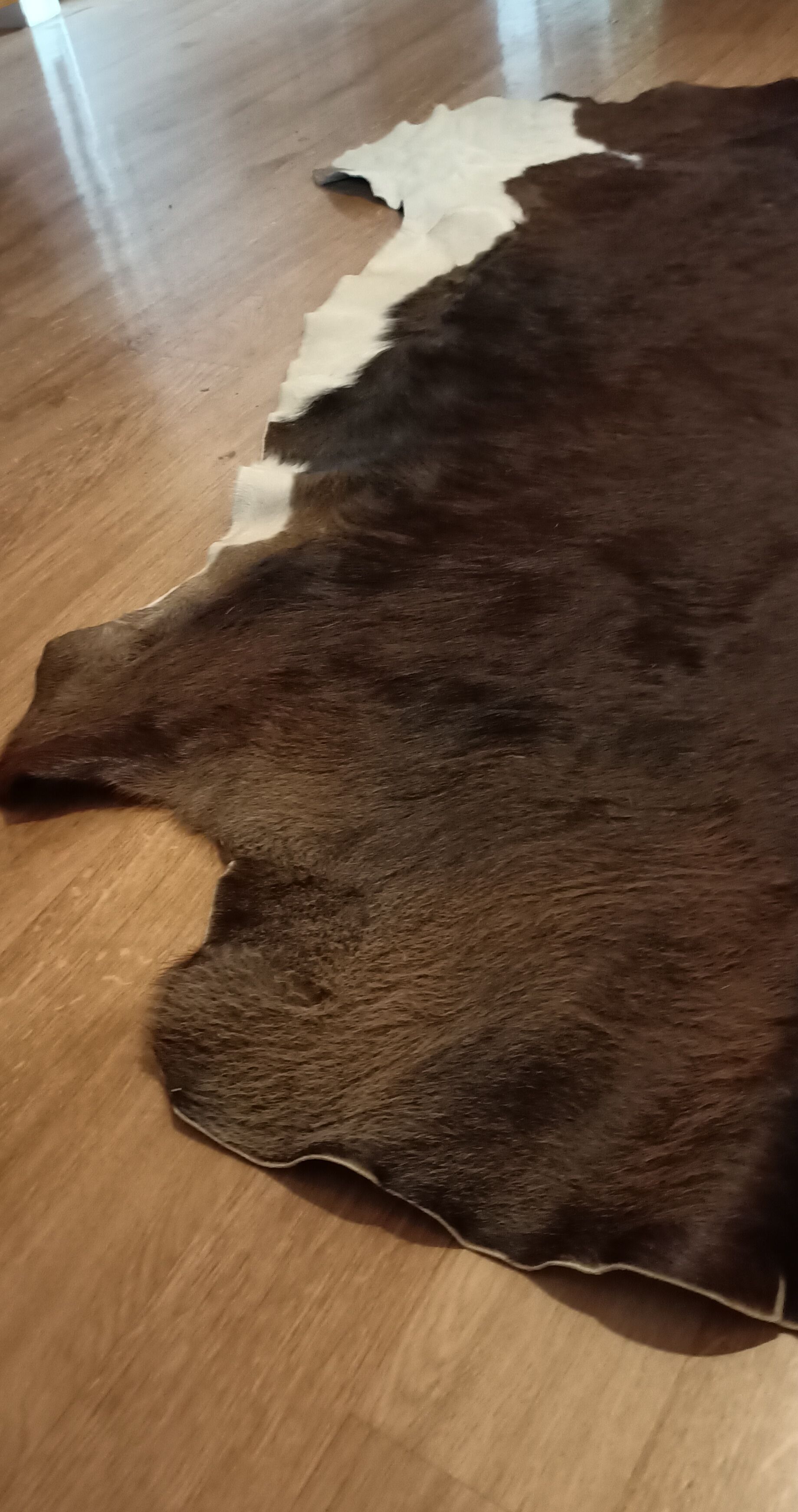 Vintage cow skin carpet, 140 cm x146 cm