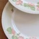 6 vintage dessert plates English earthenware Oxford floral pattern