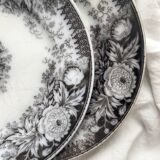 2 “Jardinière” ironstone dessert plates U&C Sarreguemines