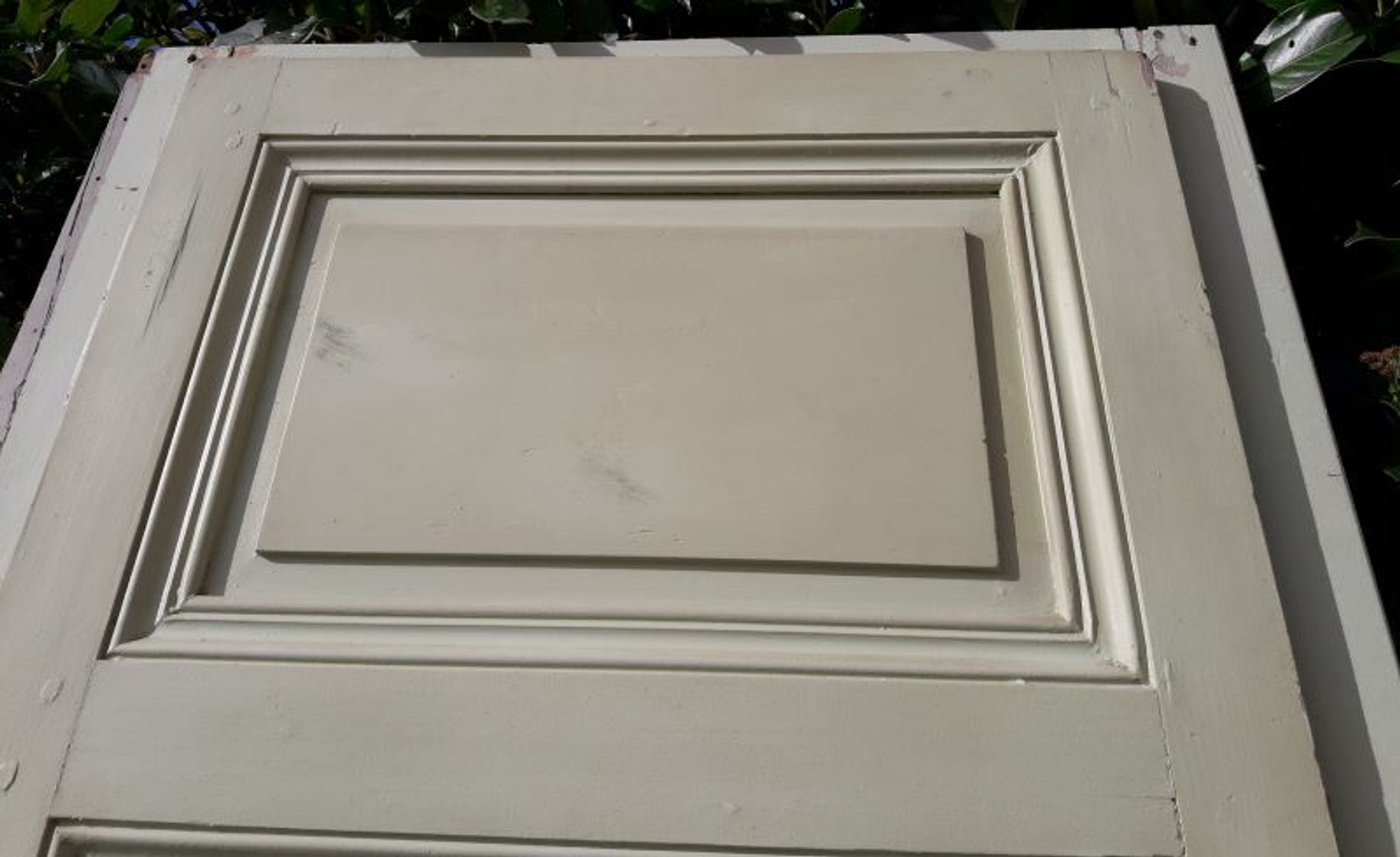 Porte 67.2x237.2cm de placard et son cadre