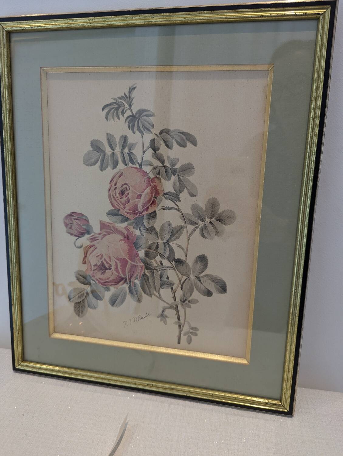 Botanical plate PJ Redouté