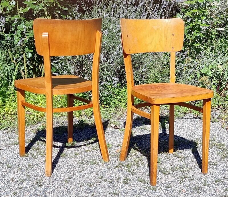 4 chaises Thonet années 50/60