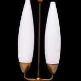 1950s Double shade Table lamp Philips