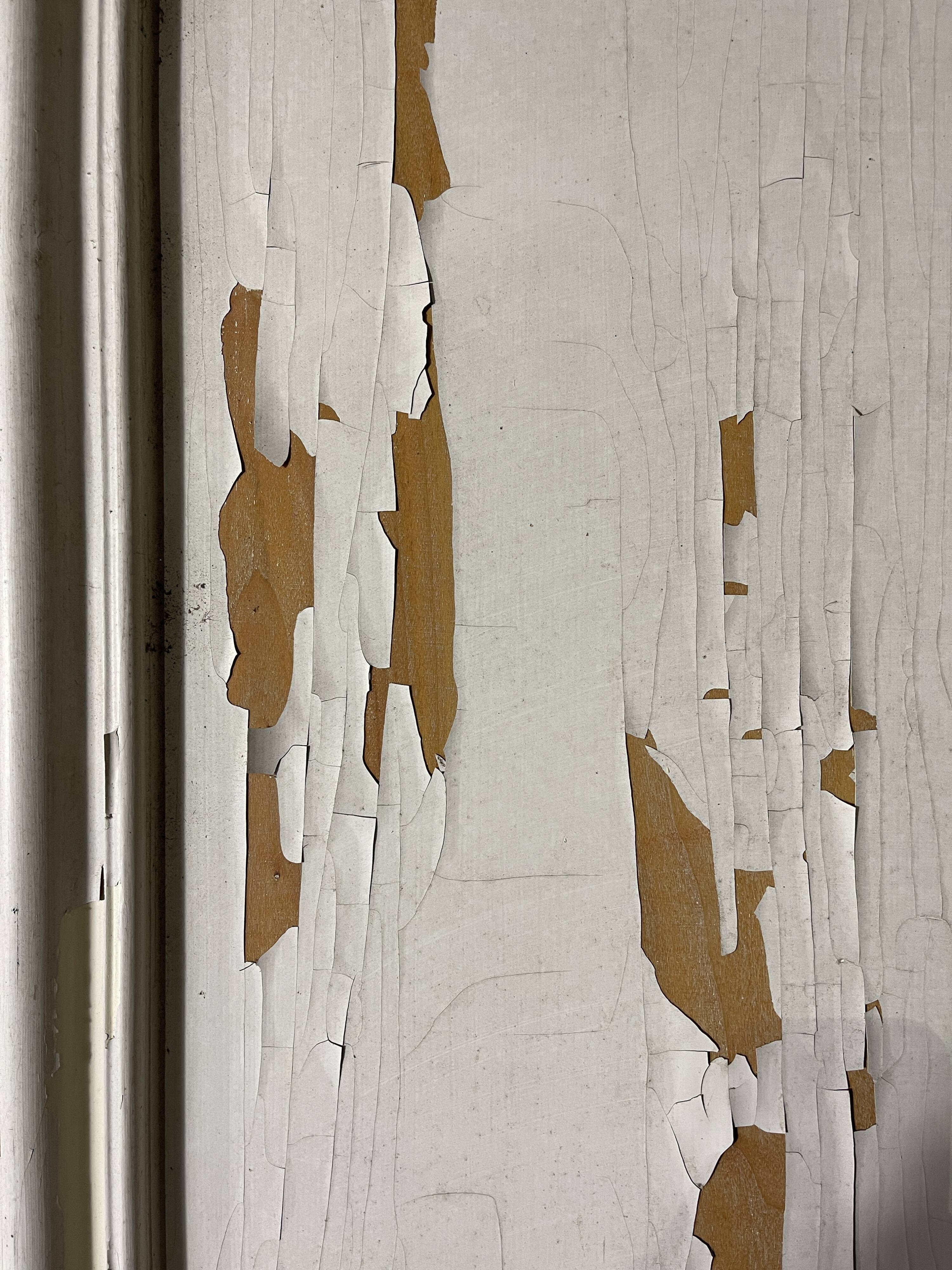 Woodwork door 278 x 83