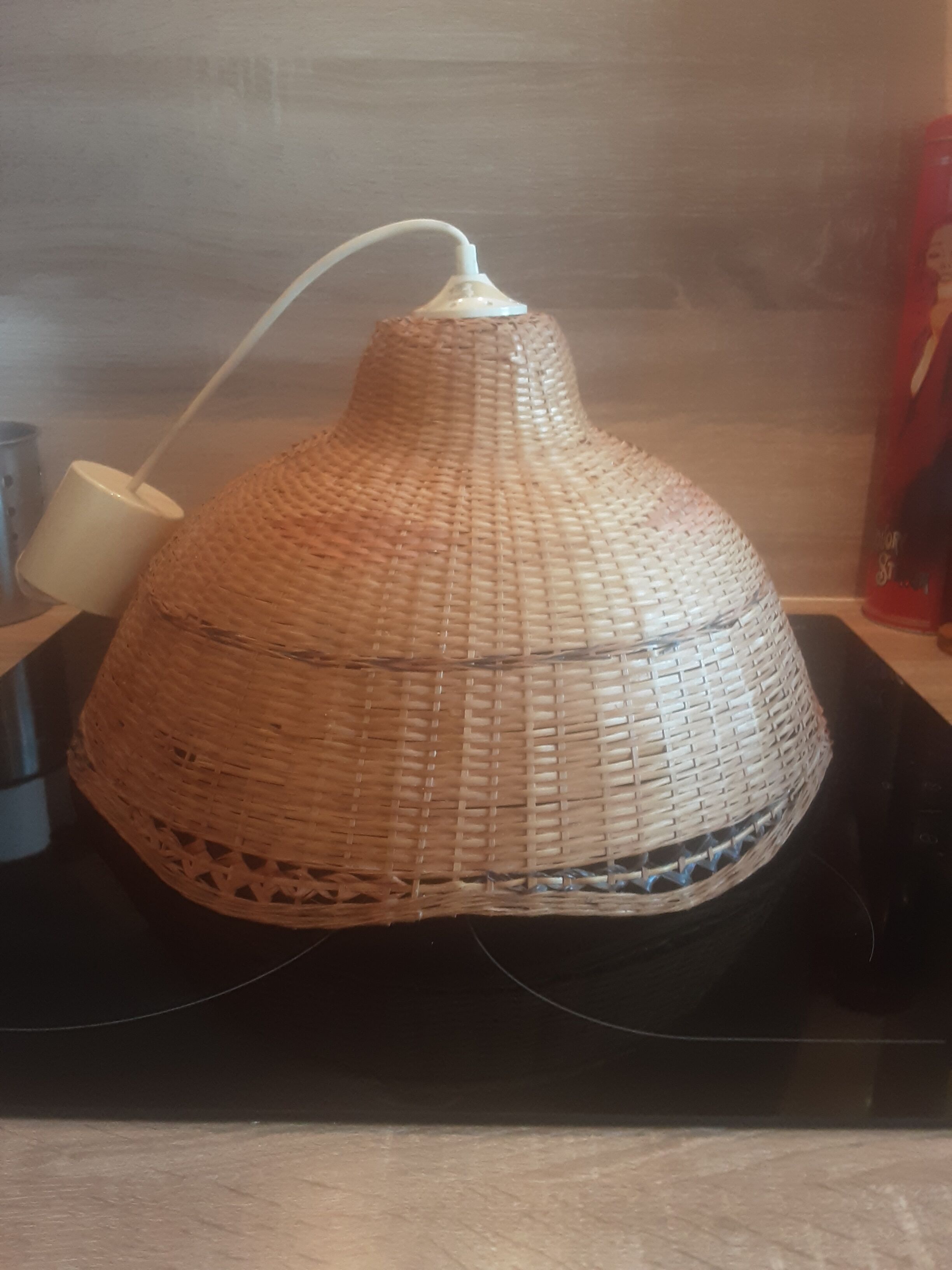 Rattan suspension year 70