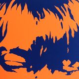 Original silkscreen poster by Robert Stanley, Brian Jones, 1965