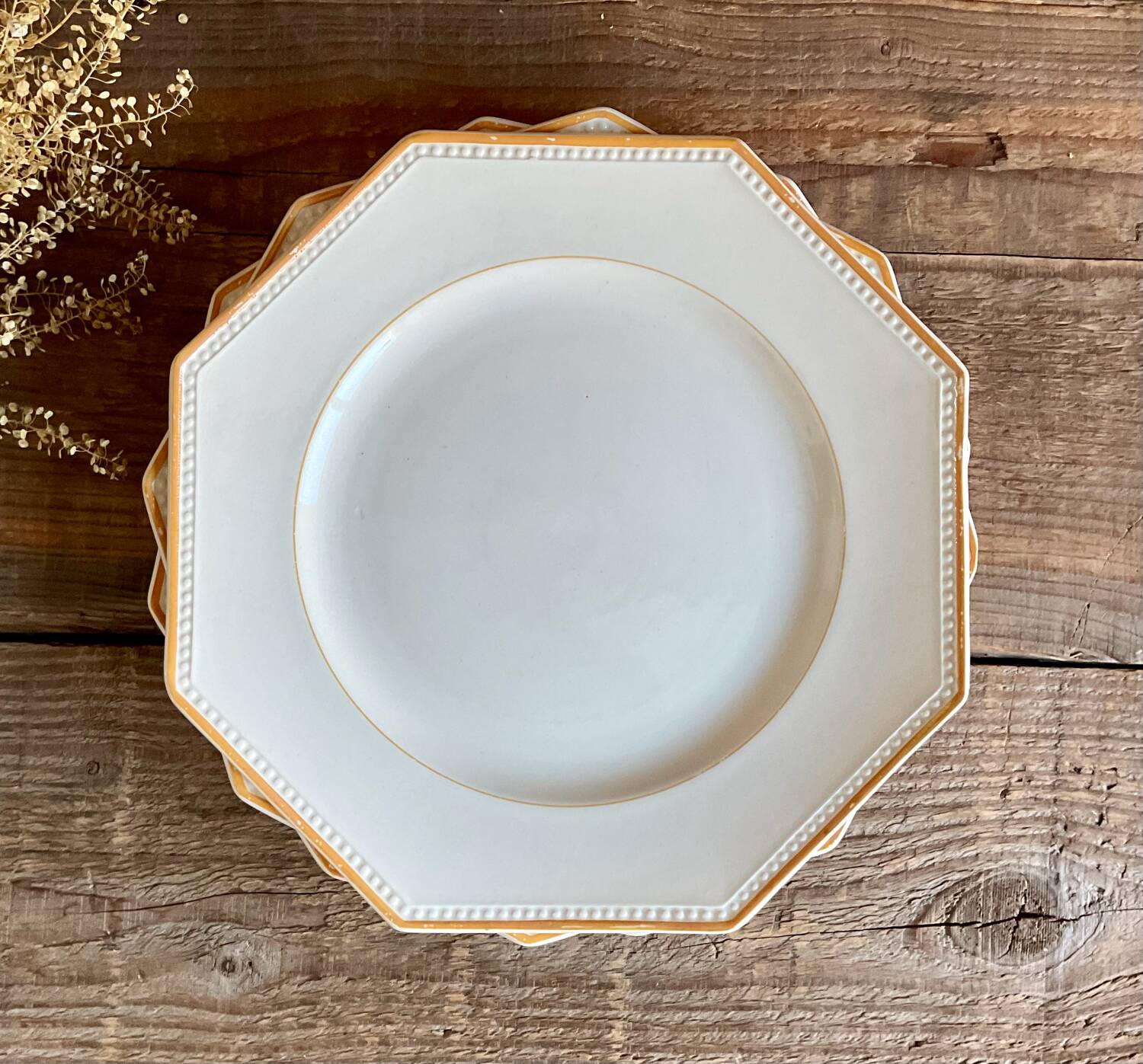 3 Sarreguemines octagonal beaded plates