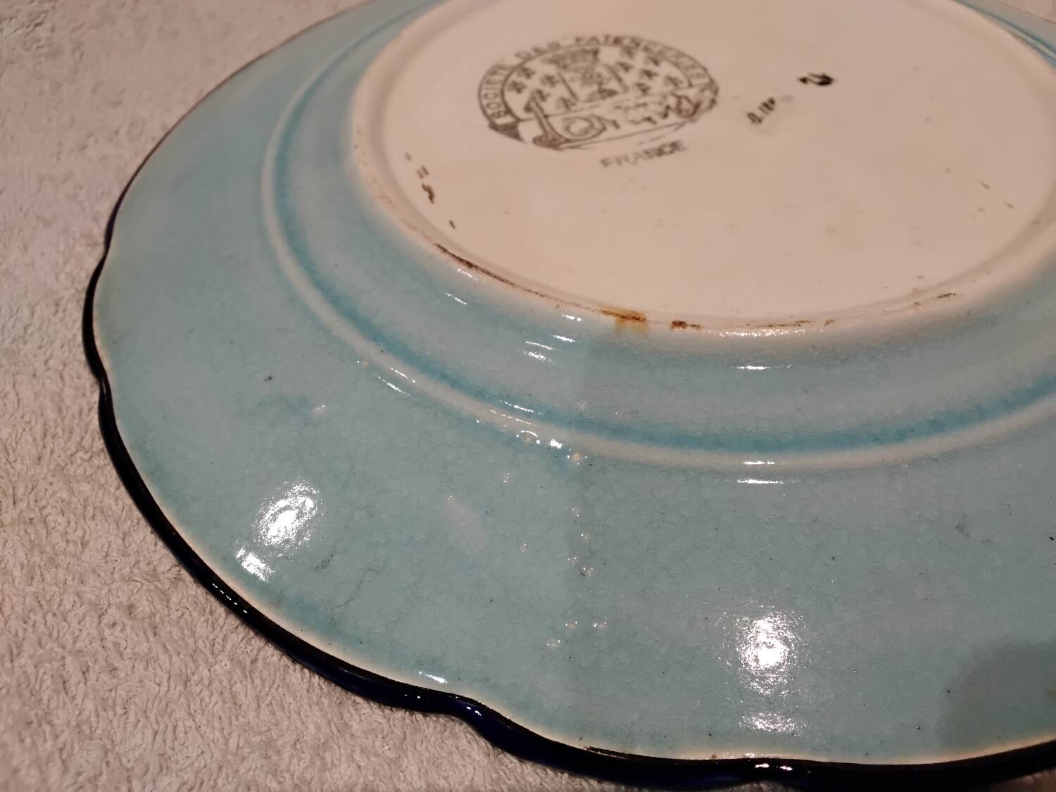 Longwy enamel plate with cartouche of 2 birds and apple blossoms, d188