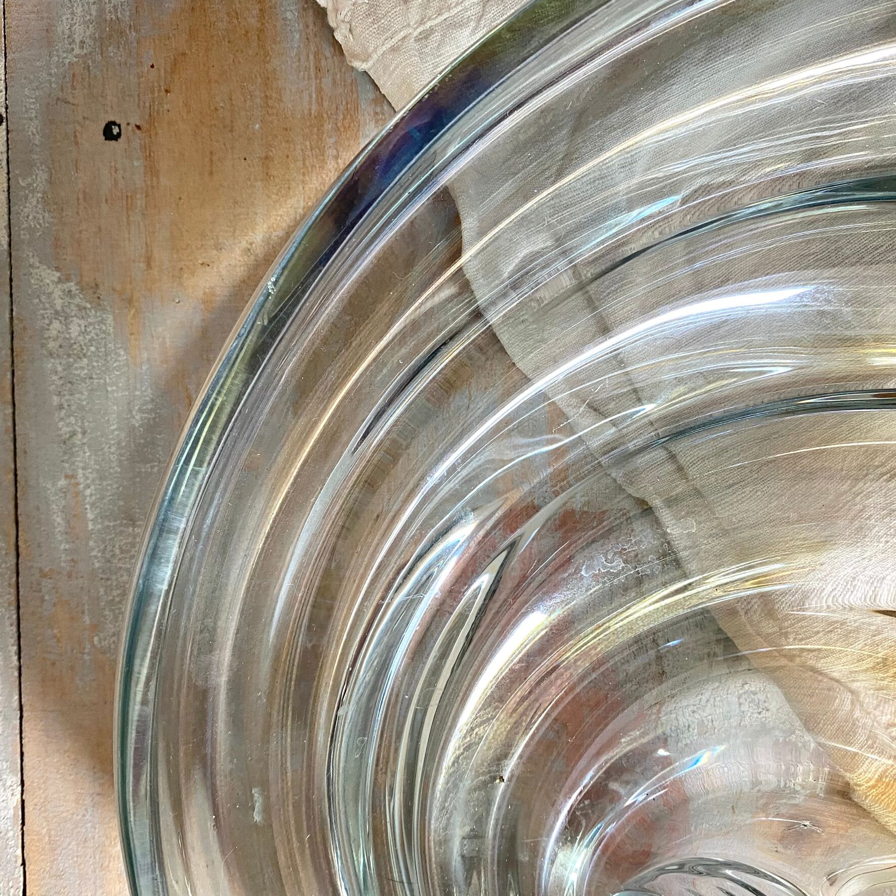 Nautilus shell catch-all 34 cm