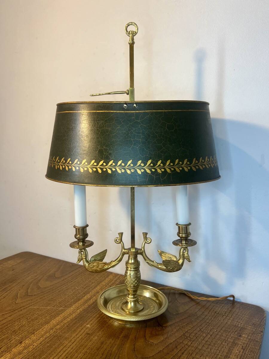 Lampe bouillotte cygnes