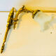 St Louis XVI wall light in solid gilded bronze + fluted glass tulip