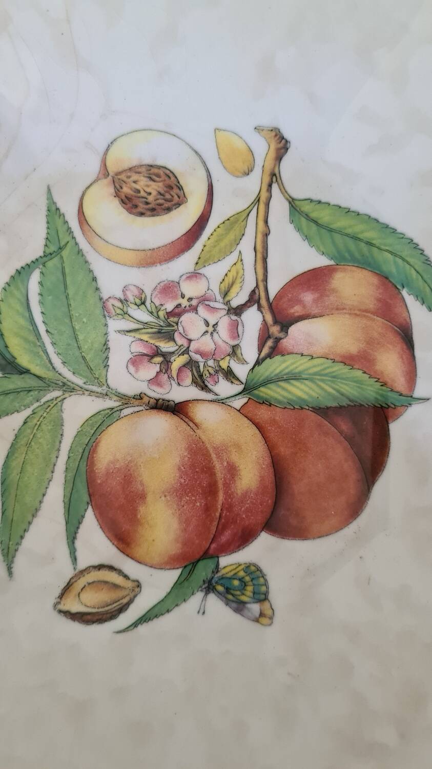 Monicado square dish