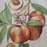 Plat carré Monicado