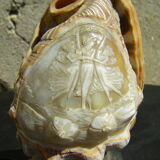 Shell lamp.