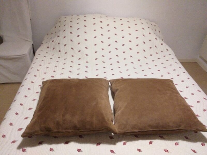 2 suede imitation cushions