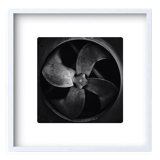 Limited edition signed art photo