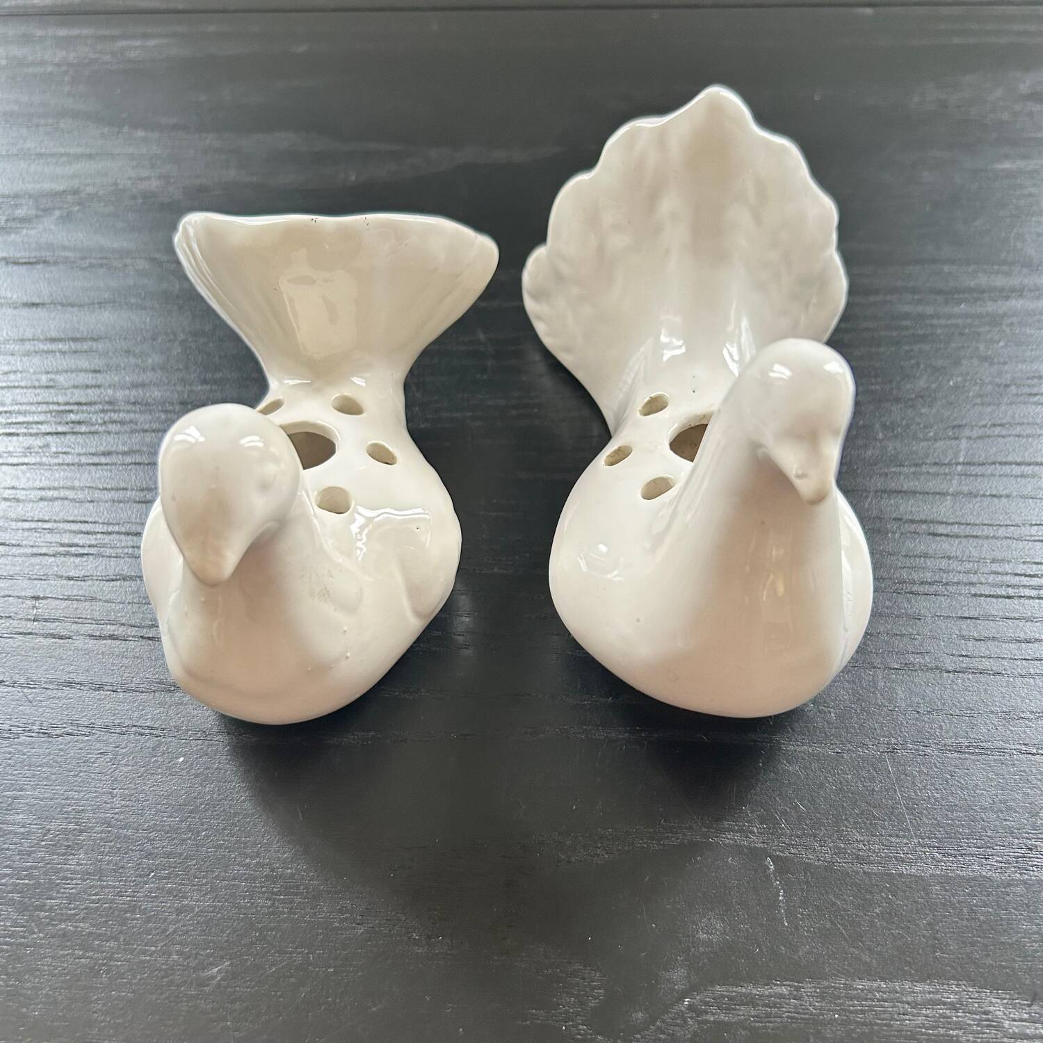 Duo of doves pecking flowers