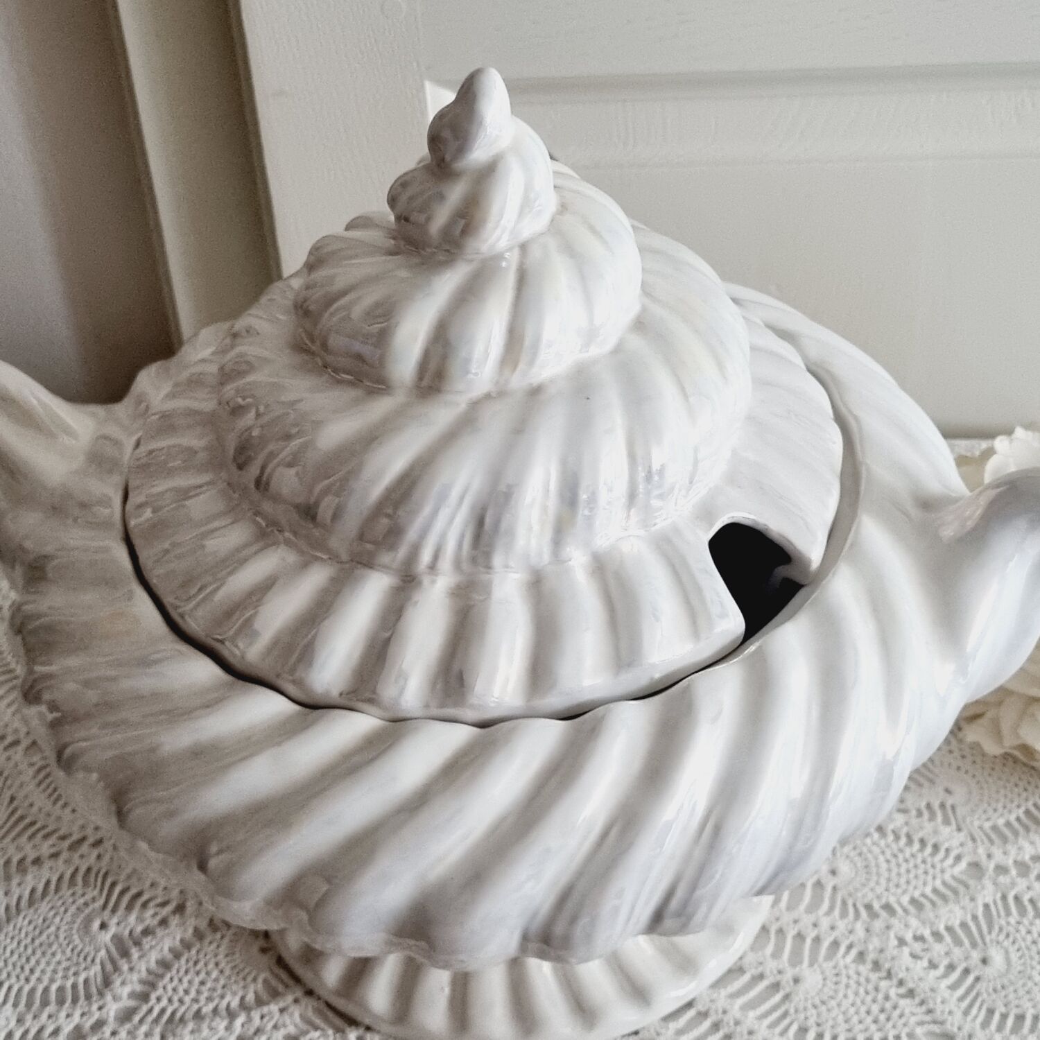 Shell tureen in slurry Portugal