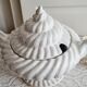 Shell tureen in slurry Portugal