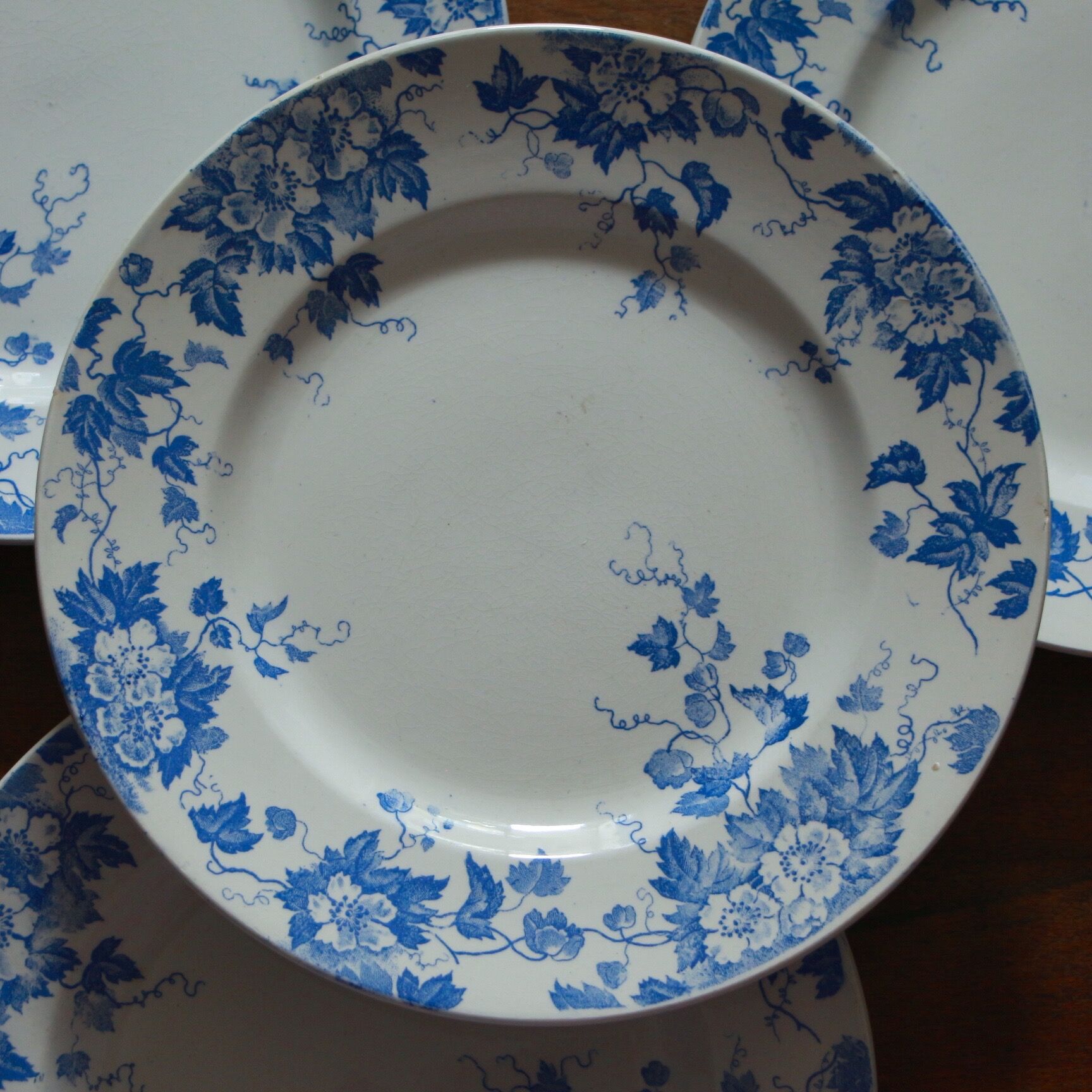 Set of 4 blue flower plates