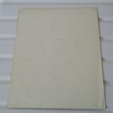 Reading image: the walnut tree