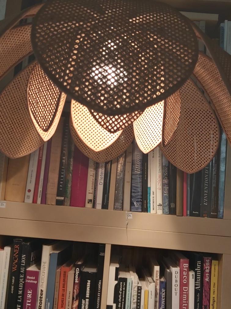 Lotus flower suspension in vintage cannage