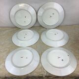 6 Limoges porcelain dinner plates