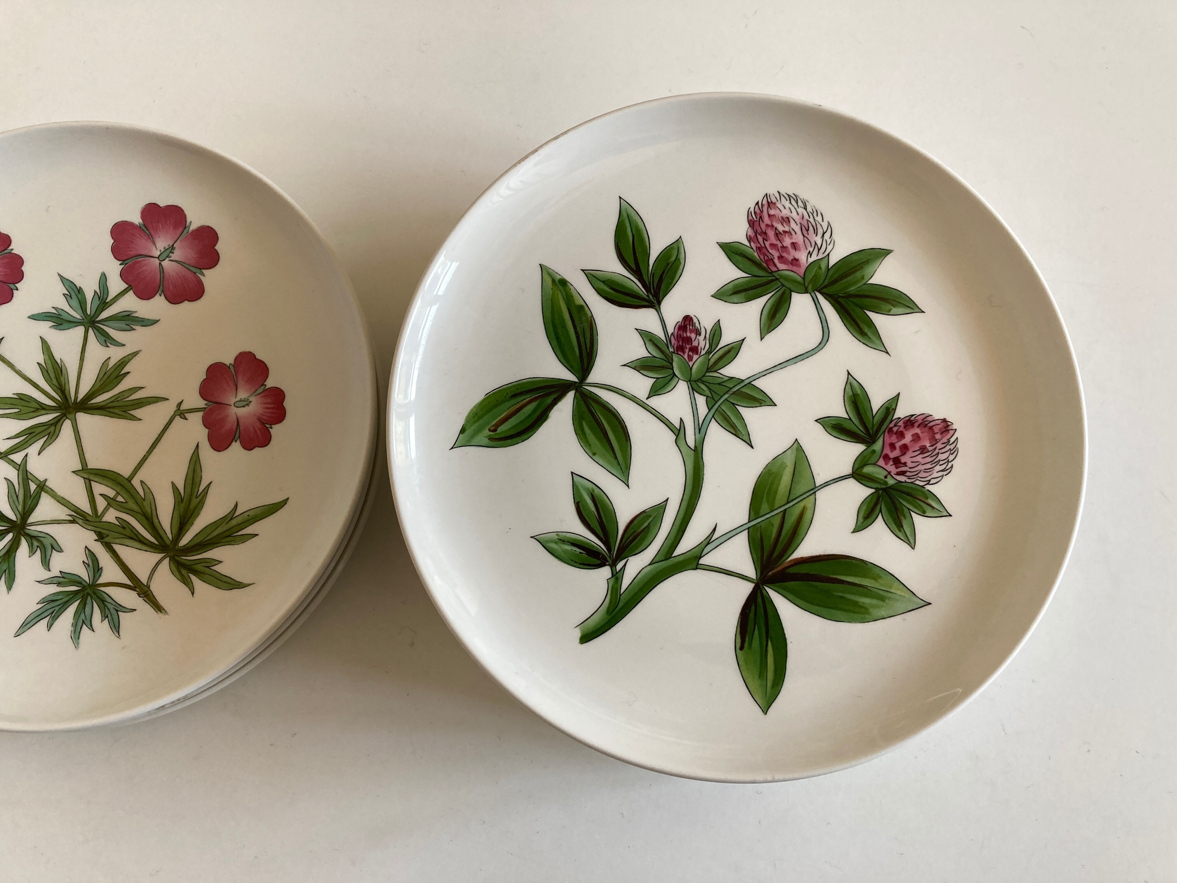 Set 11 assiettes fleurs Rorstrand Sweden Flora 1970