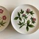 Set 11 assiettes fleurs Rorstrand Sweden Flora 1970