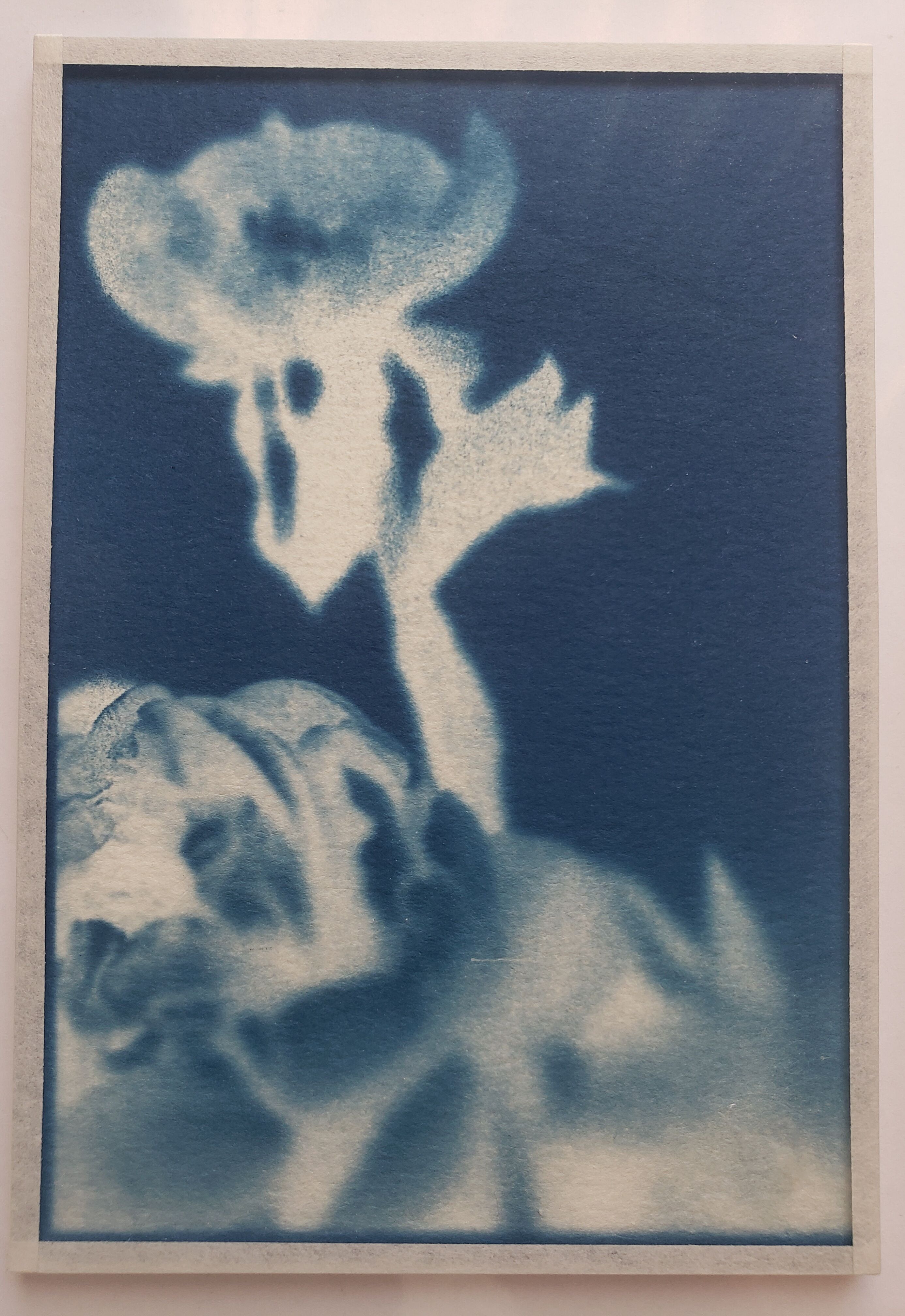 Cyanotype frame