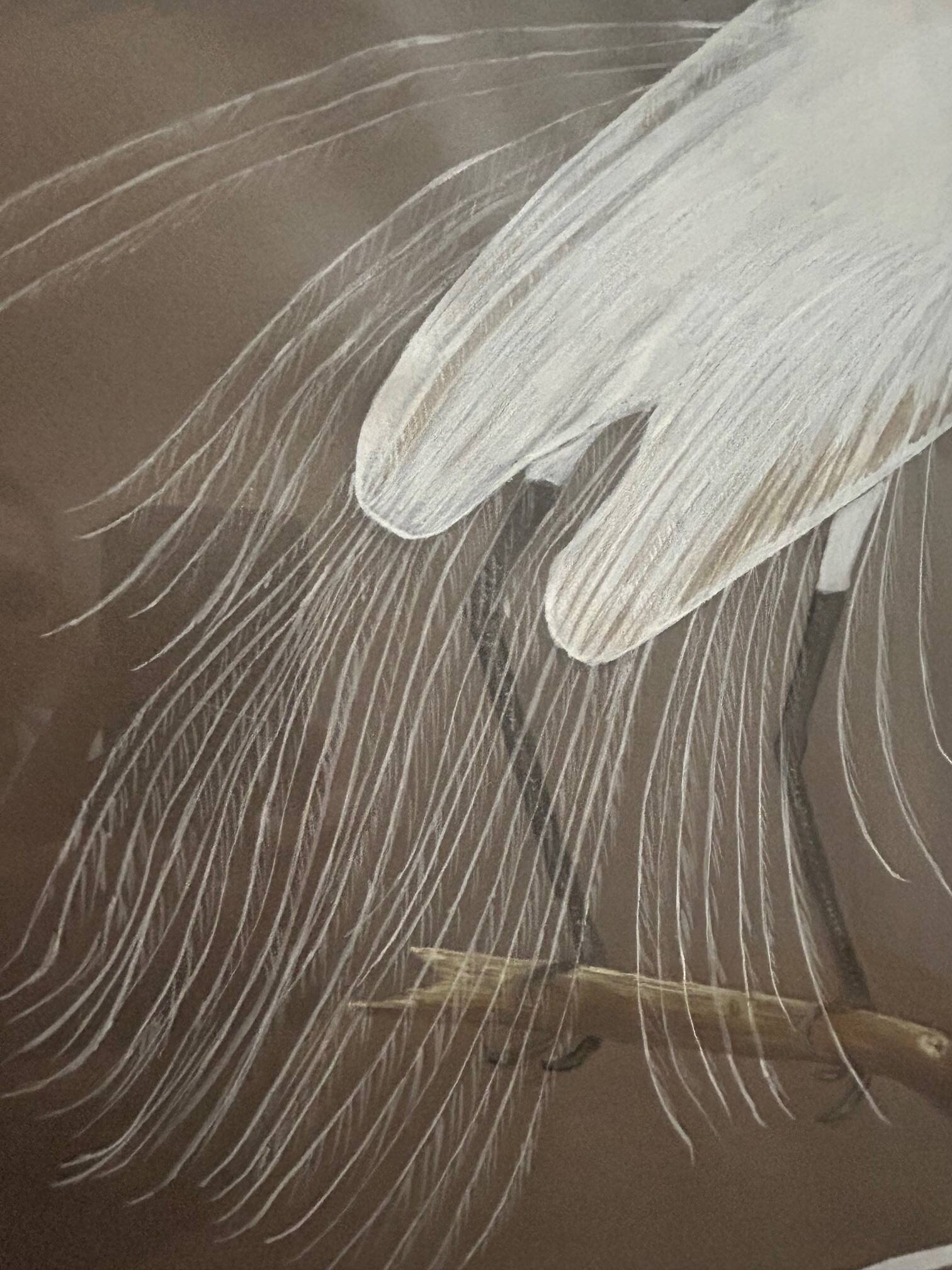 mixed media heron drawing