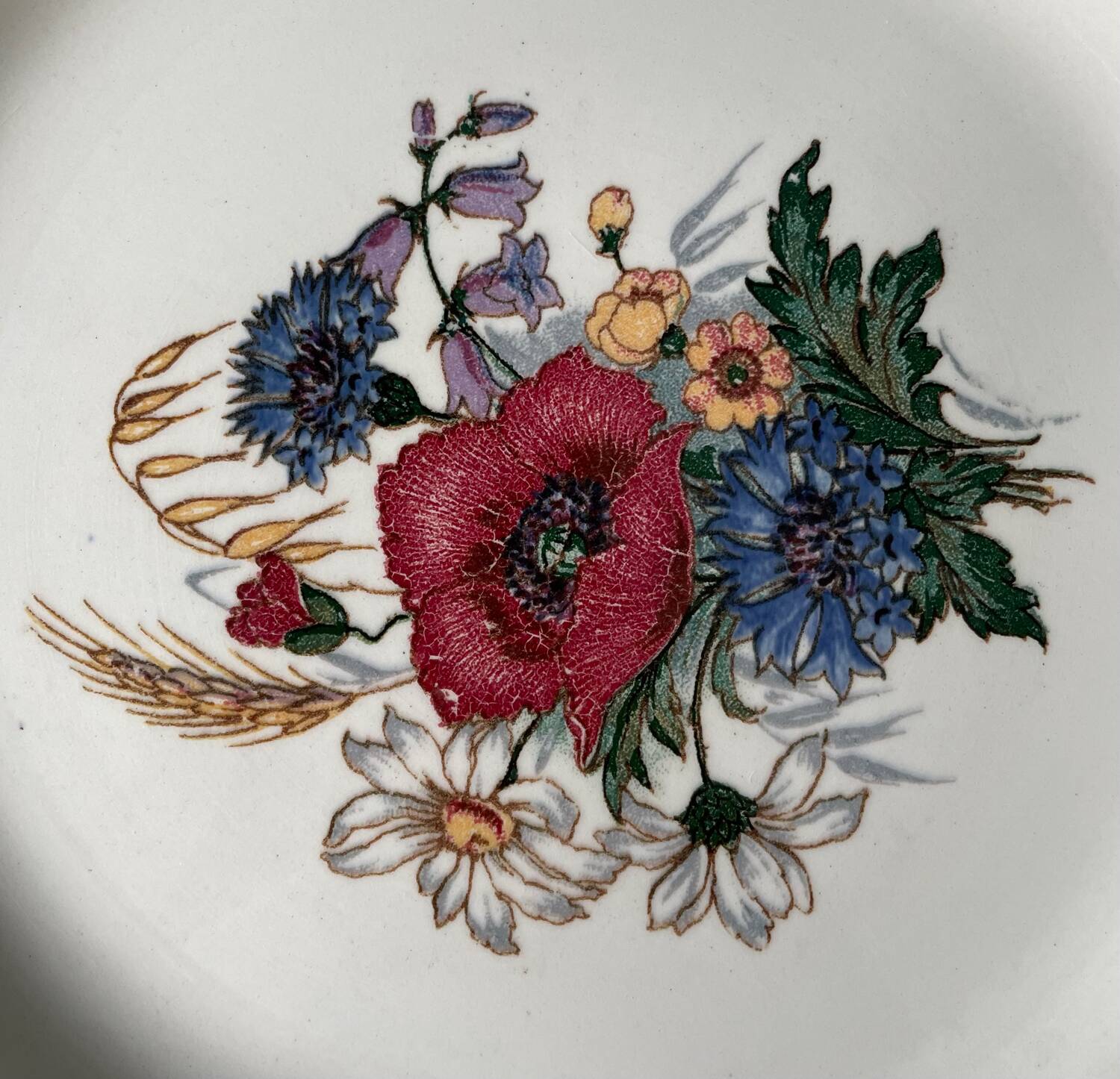 Series of 7 Sarreguemines earthenware dessert plates, Agreste model