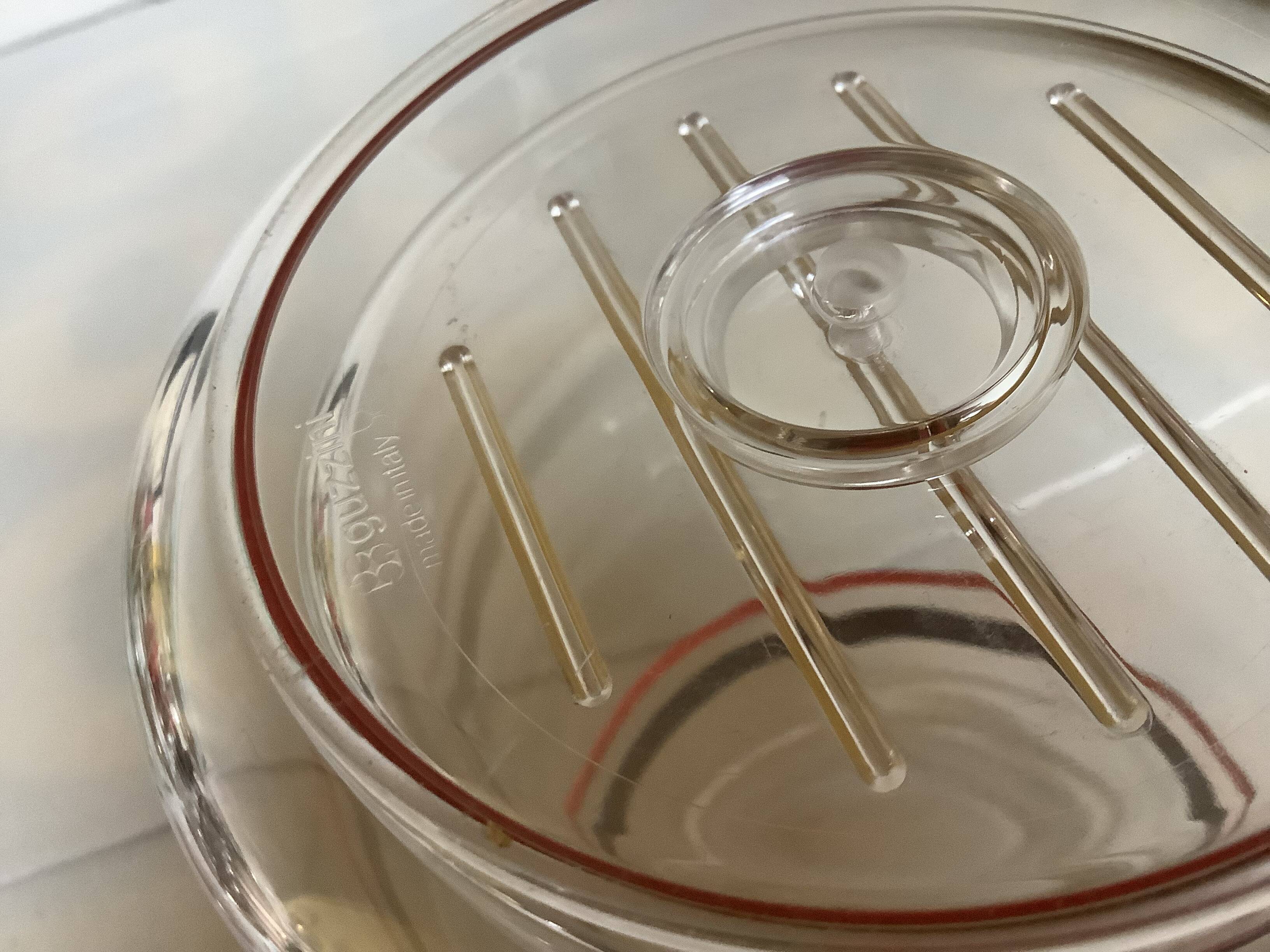 Bottle cooler Guzzini Italy 1980s