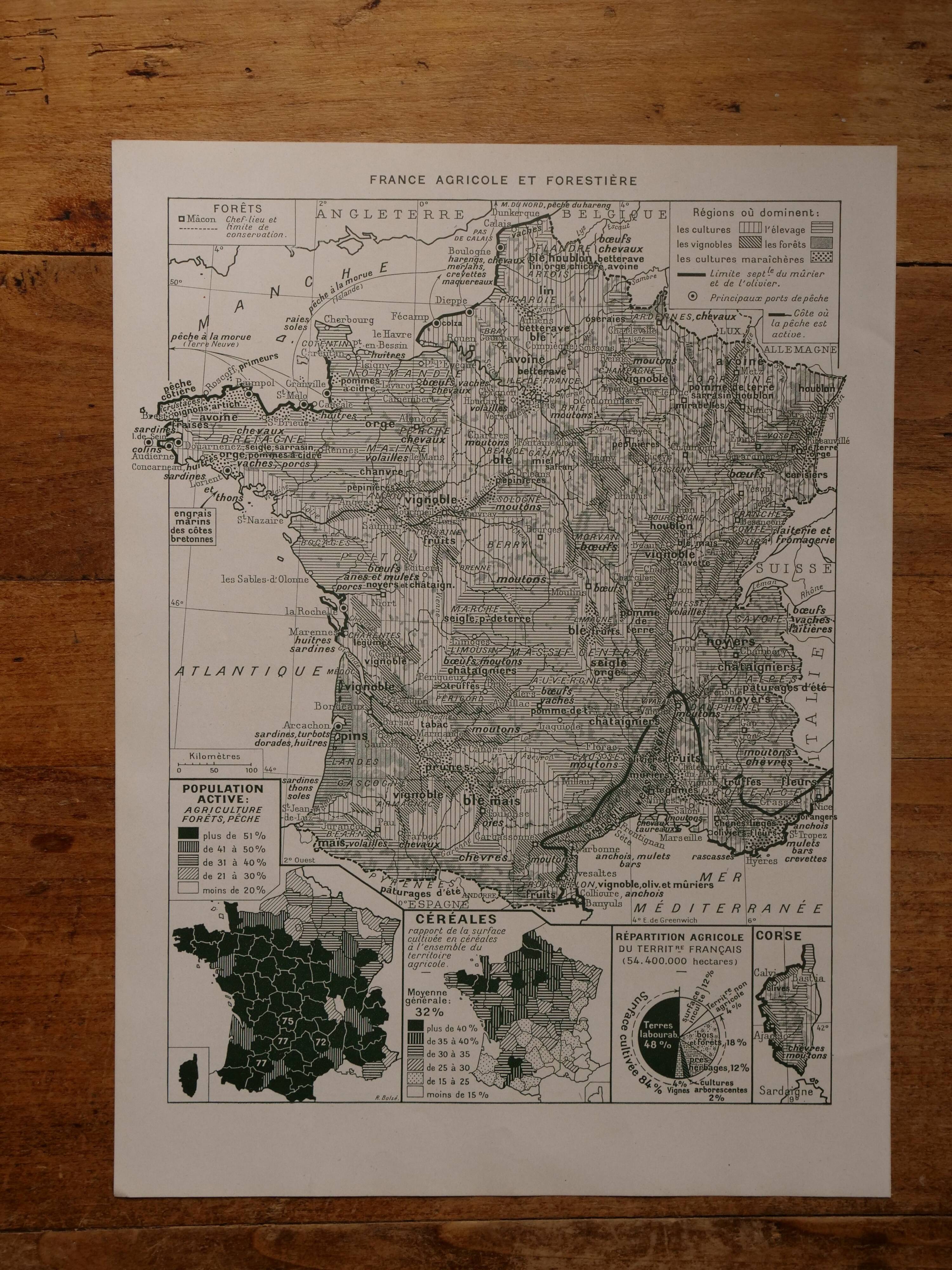 Original lithograph on France (physics + agricultural and forestry)