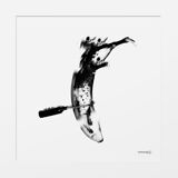 Photograph by Clarlieu signed and numbered